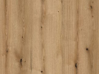 Дуб Эвок Прибрежный К365 (Копировать)