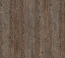 Сосна санторини (Копировать)