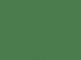 Зеленый (Копировать)